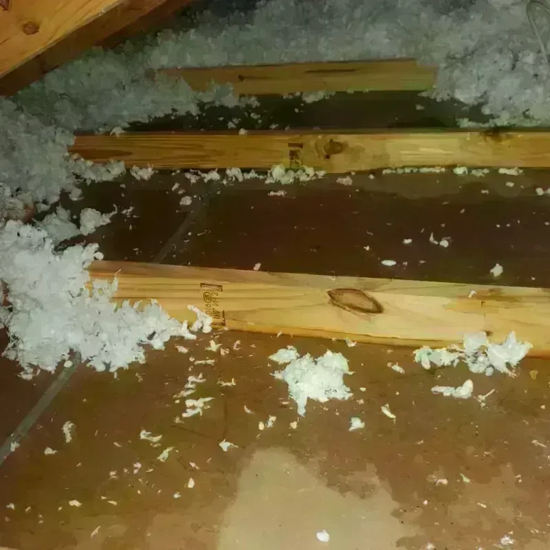 Attic Water Damage in Olivarez, TX